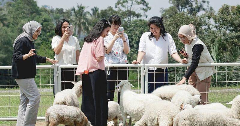 Instagram.com/Kopi.salacca